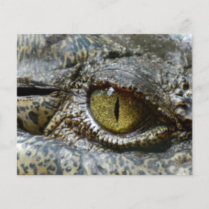 crocodile eye face animal custom personalise diy flyer