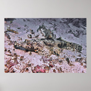 Crocodile Flathead Poster