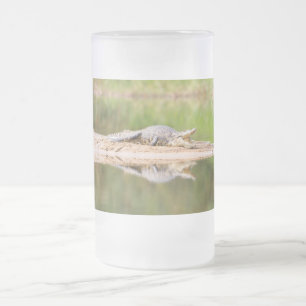 Crocodile Frosted Glass Beer Mug