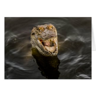 Crocodile Greeting Card