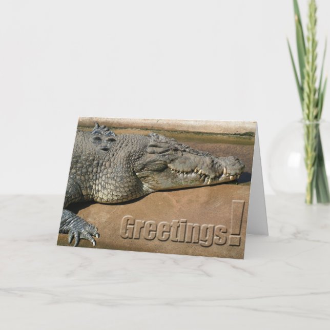 Crocodile Greetings Card (Front)