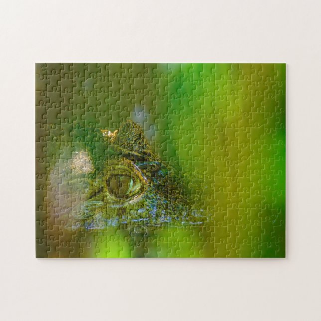 Crocodile in Guyana. Jigsaw Puzzle (Horizontal)