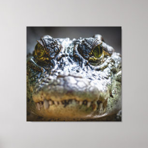 crocodile in water canvas print
