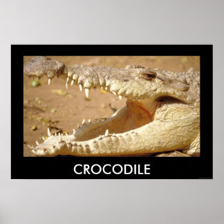 crocodile Jaws from JungleWalk.com Poster