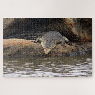 crocodile jigsaw puzzle