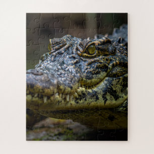 crocodile jigsaw puzzle