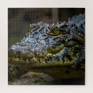 Crocodile Jigsaw Puzzle