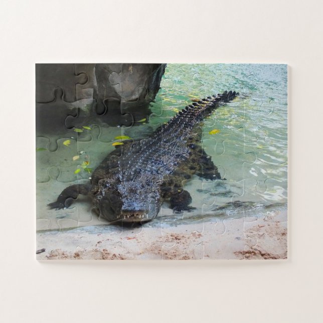 Crocodile Jigsaw Puzzle (Horizontal)