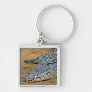 Crocodile Key Ring