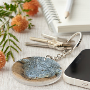 Crocodile Key Ring