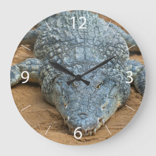 Crocodile Large Clock