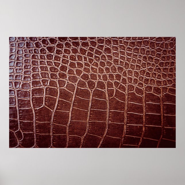 Crocodile leather patternabstract,alligator,animal poster (Front)