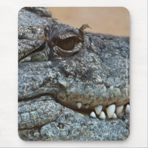 Crocodile Mouse Mat