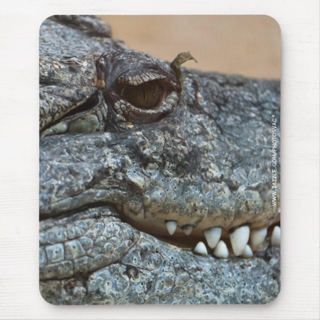 Crocodile Mouse Mat (Front)