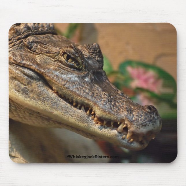 Crocodile Mouse Mat (Front)