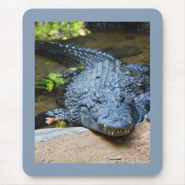 Crocodile Mouse Mat (Front)