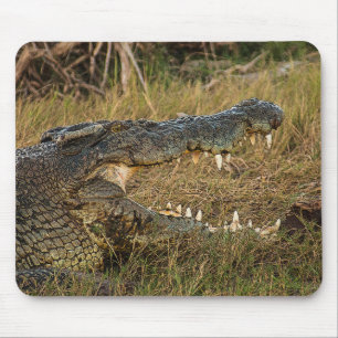 Crocodile Mouse Mat