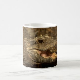 Crocodile Mug