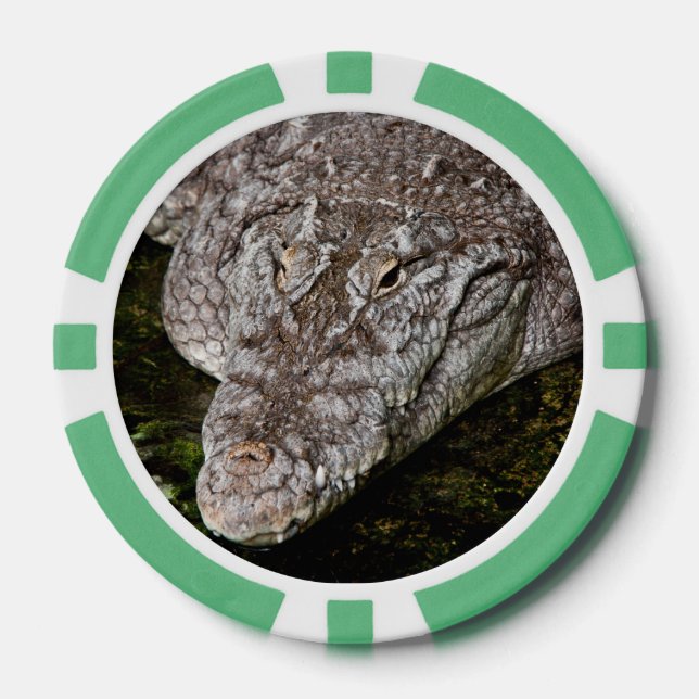 Crocodile Poker Chips (Front)
