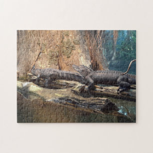 Crocodile Puzzle