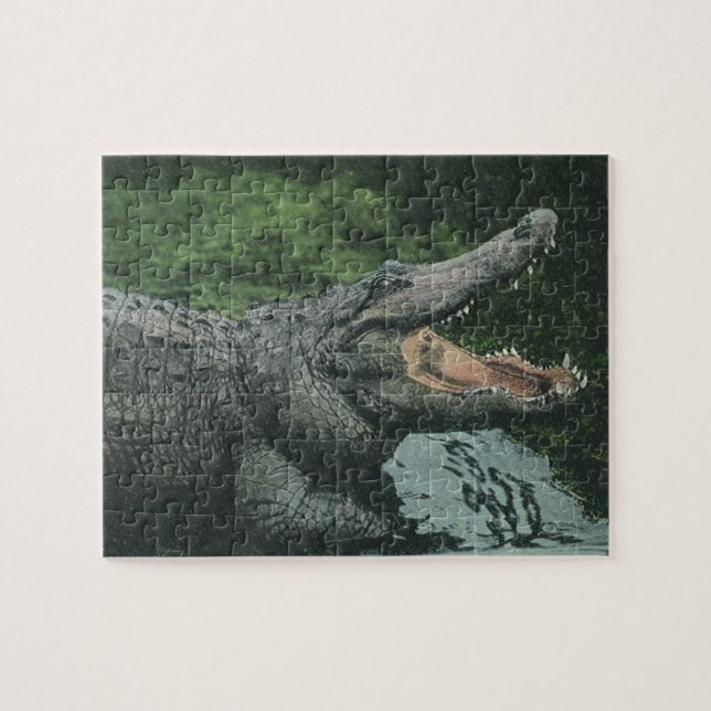 Crocodile Reptiles, Vintage Marine Animal Life Jigsaw Puzzle (Horizontal)