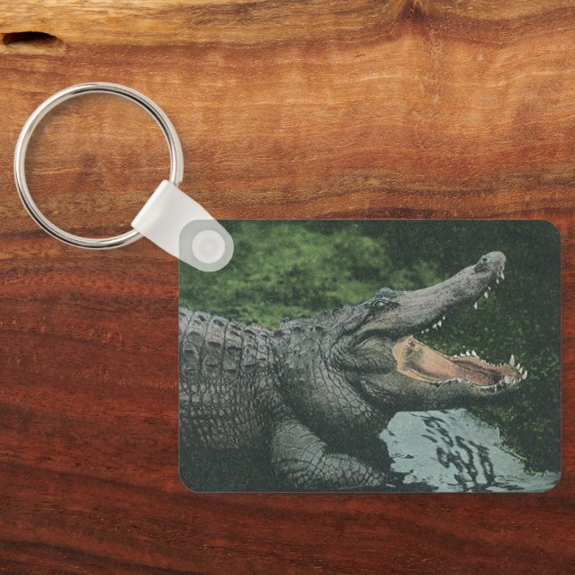 Crocodile Reptiles, Vintage Marine Animal Life Key Ring (Back)