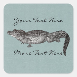 Crocodile Square Stickers