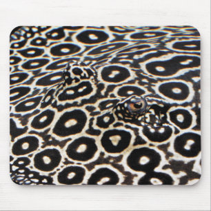 Crocodile stingrayのマウスパッド mouse mat