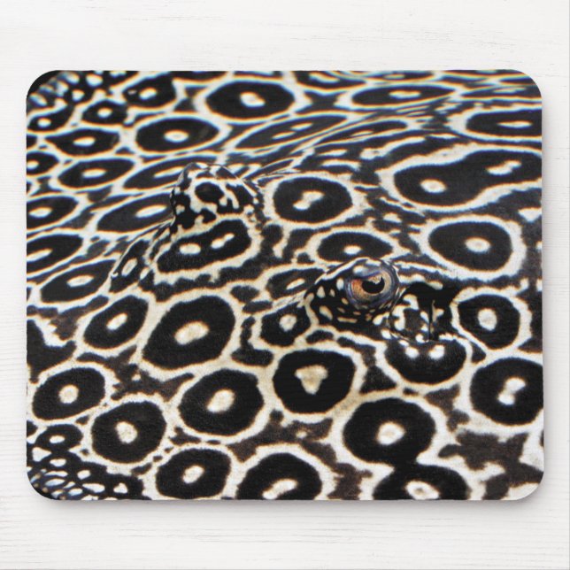 Crocodile stingrayのマウスパッド mouse mat (Front)