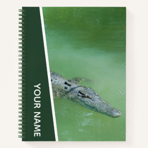 Crocodile Swimming in Australia, Green Notebook