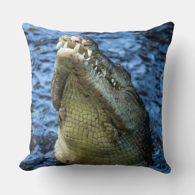 Crocodile Teeth Water Cushion (Front)