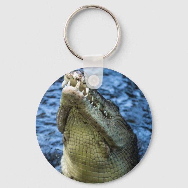 Crocodile Teeth Water Key Ring (Front)