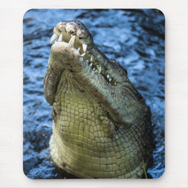 Crocodile Teeth Water Mouse Mat (Front)