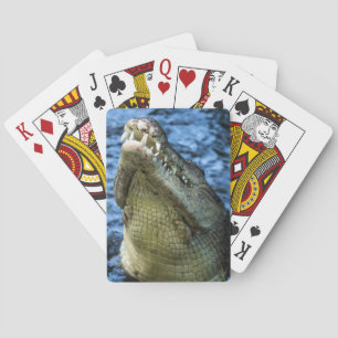 Crocodile Teeth Water Playing Cards