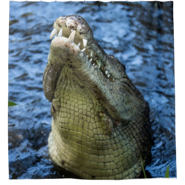 Crocodile Teeth Water Shower Curtain (Front)