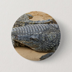 Crocodiles 6 Cm Round Badge