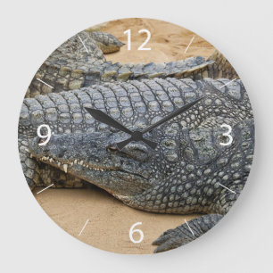 Crocodiles Large Clock