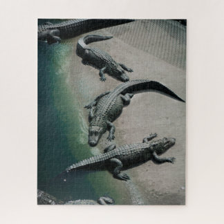 Crocodiles Resting on a Riverbank Wildlife Jigsaw Puzzle