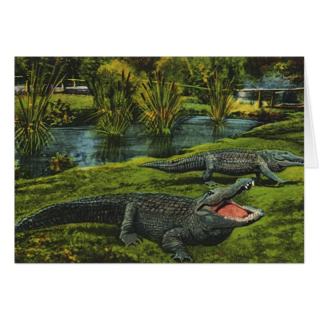 Crocodiles, Vintage Marine Life Reptiles Animals (Front Horizontal)
