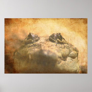 Crocodylus Moreletii Close up Poster