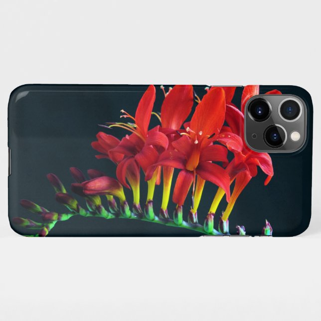Crocosomia Lucifer Montbretia Floral iPhone Case (Back Horizontal)