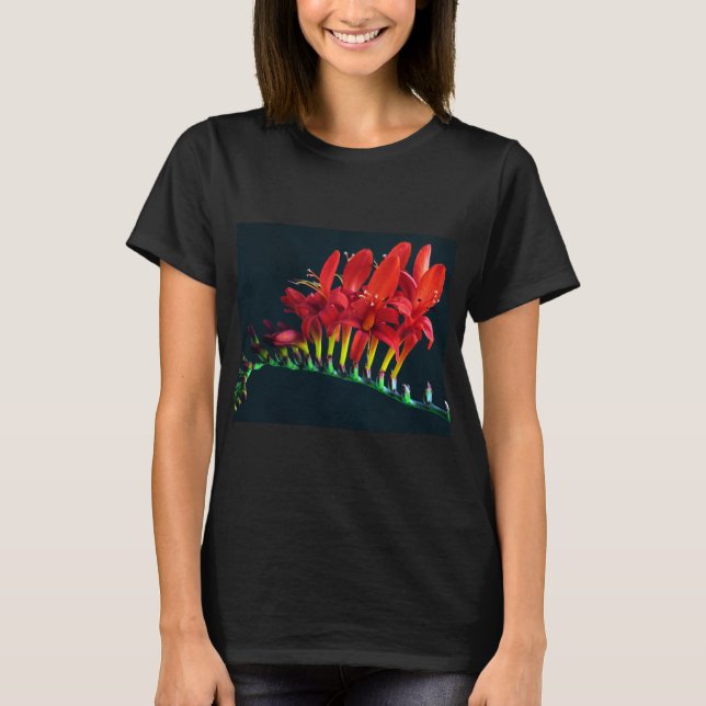Crocosomia Lucifer Montbretia Floral T-Shirt (Front)