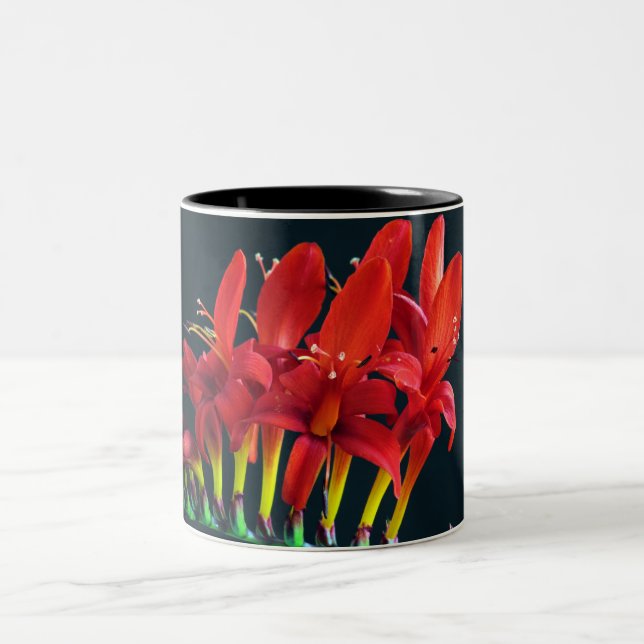 Crocosomia Lucifer Montbretia Floral Two-Tone Coffee Mug (Center)
