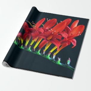 Crocosomia Lucifer Montbretia Floral Wrapping Paper