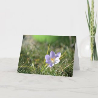 Crocus Blank Thank You Card