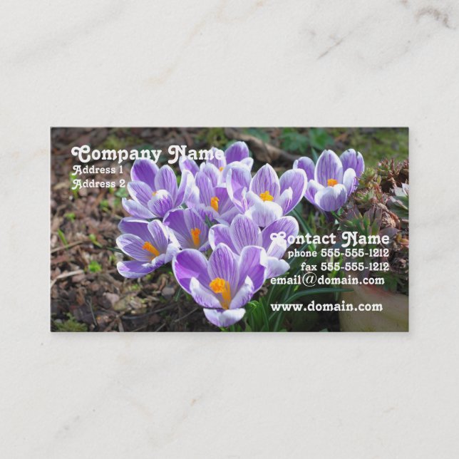 Crocus Business Card (Front)