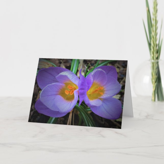 Crocus, card (Front)