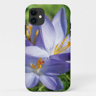 Crocus iPhone 11 Case