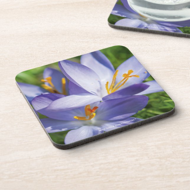 Crocus Coaster (Left Side)