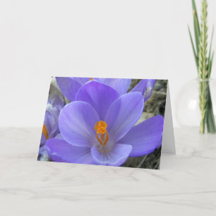 Crocus Easter Card